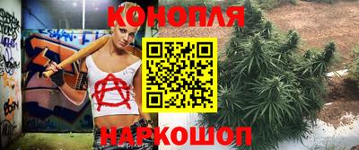 эйфоретик Кимры